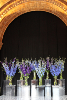 NHM_Hintze_Opening_Event_Flowers-0208