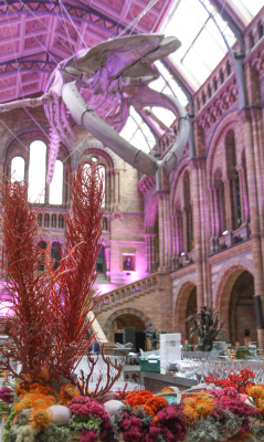 NHM_Hintze_Opening_Event_Flowers-0224