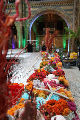NHM_Hintze_Opening_Event_Flowers-0235