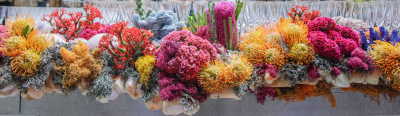 NHM_Hintze_Opening_Event_Flowers-0244