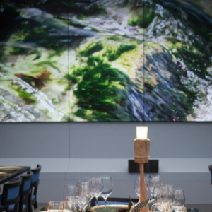 Frieze_Rhubarb_Mary_Jane_Vaughan-1143