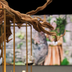 PHO_Frieze_Rhubarb_Mary_Jane_Vaughan-1135