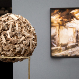 PHO_Frieze_Rhubarb_Mary_Jane_Vaughan-1163