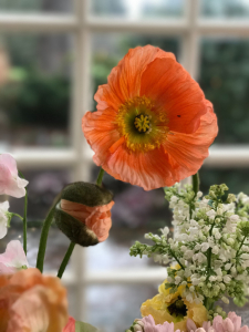 Photo 21-01-2018, 11 11 20 (1)
