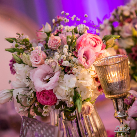 Grove-160A0398-Chiko Photography