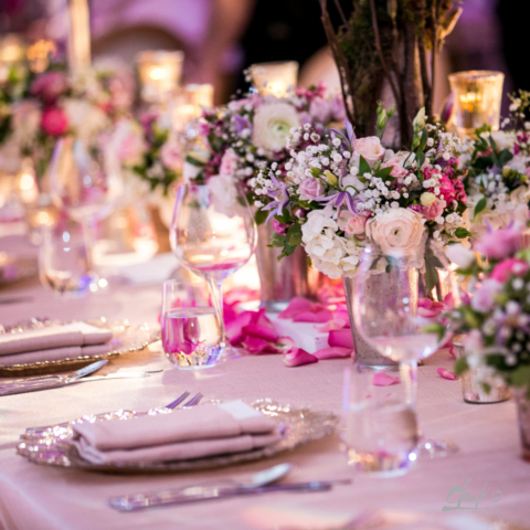 Grove-160A0404-Chiko Photography
