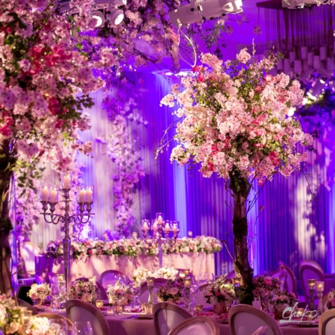 Grove-160A0453-Chiko Photography