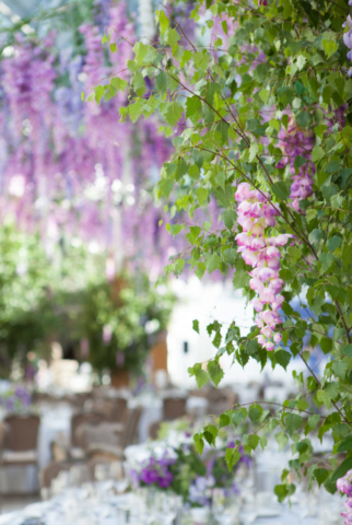 Hurlingham-Conservative-Summer-Party-6394