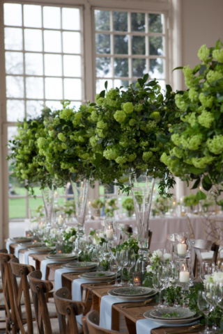 Kew-Showcase-2020-0398
