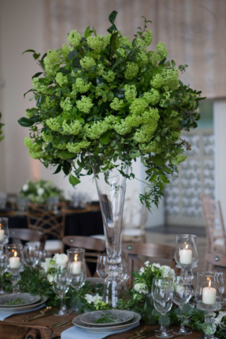 Kew-Showcase-2020-0406