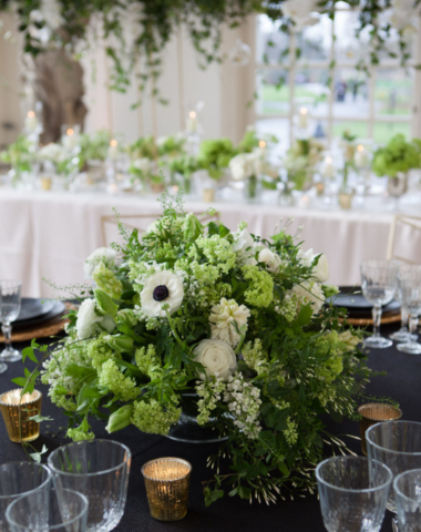 Kew-Showcase-2020-2-14