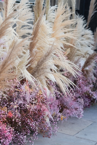 ChelseainBloom_Sep2021_43