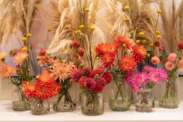 ChelseainBloom_Sep2021_87