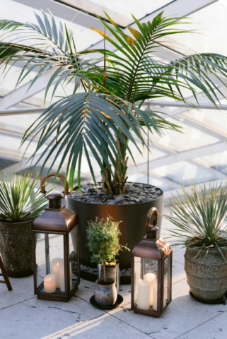 SkyGardens_April_2022_087